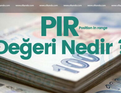 PIR değeri nedir?