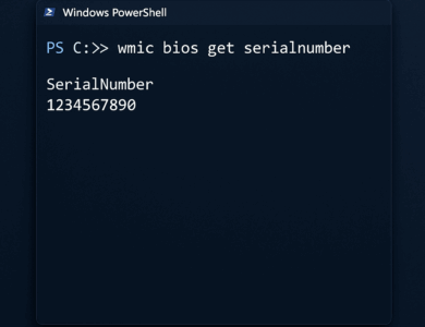 Powershell ile Bilgisayar Seri No Öğren 10 powershell komut